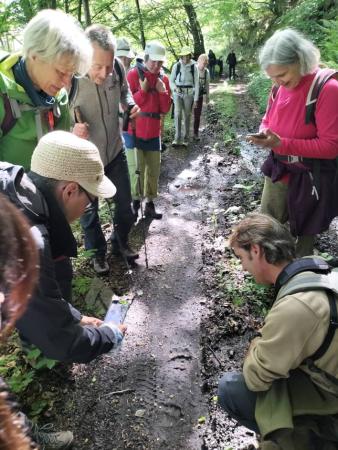 Observation of footprints in the forest - Activity of interpretation of Cantabrian wildlife