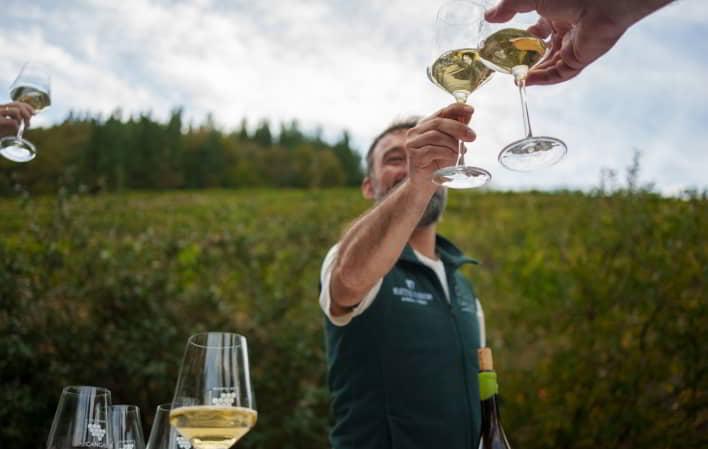 Grupo de personas brindando con copas de vino blanco en el exterior de la Bodega Martínez Parrondo, con viñedos y vegetación al fondo bajo un cielo parcialmente nublado. En primer plano se observa una botella abierta sobre la mesa.