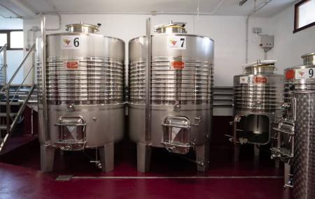 Depósitos de fermentación de la Bodega Martínez Parrondo – Cangas del Narcea