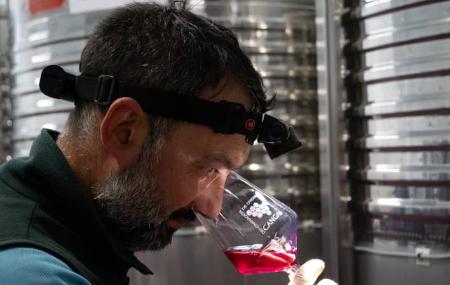 Cata en la Bodega Martínez Parrondo – Cangas del Narcea