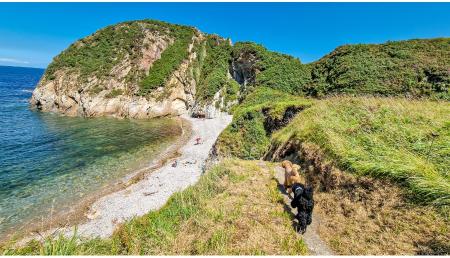 Imagen Beaches to go with your dog in Asturias