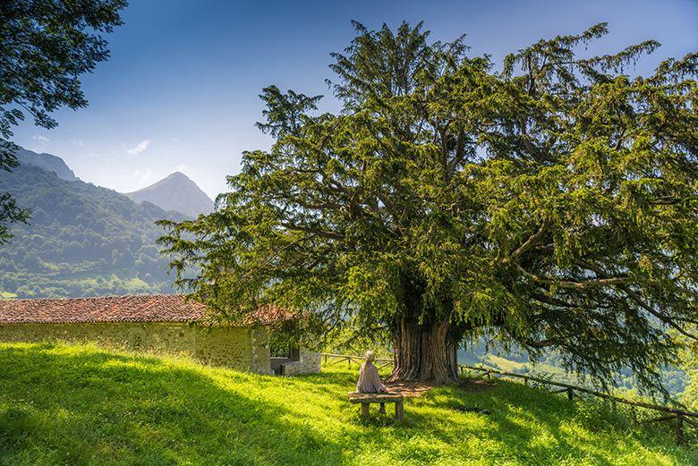 Image of a person sitting in front of the Texu de Bermiego in Quirós.