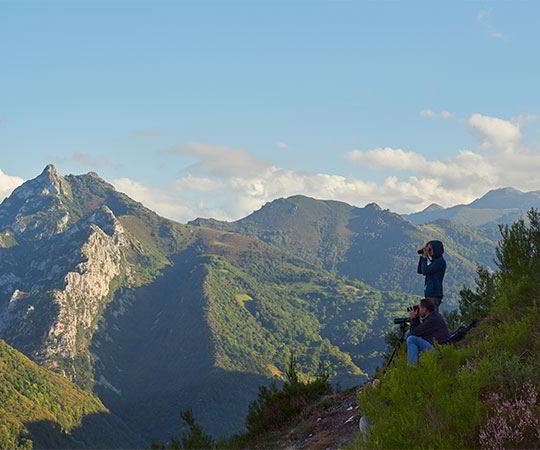 Photo of two people engaging in ecotourism, observing fauna with binoculars in a valley