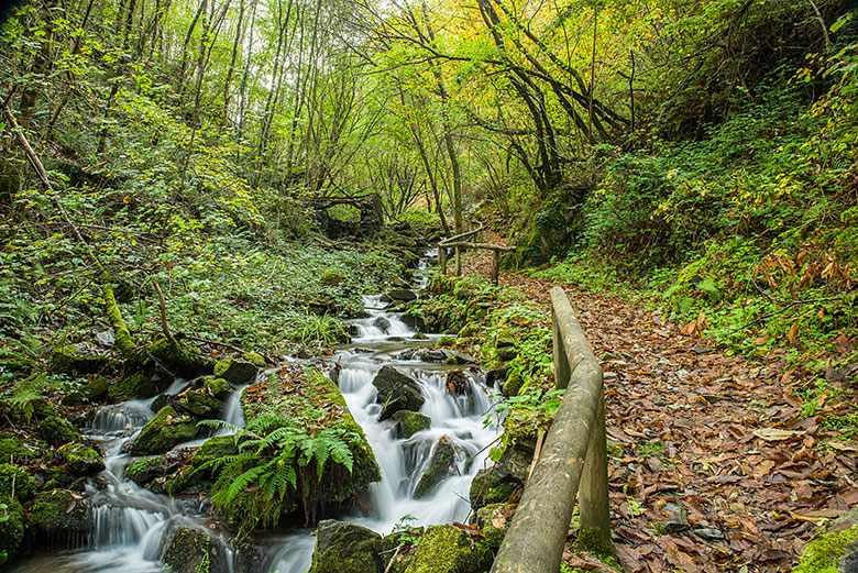 Image of a section of the Water Route in Taramundi. A stream can be seen next to the path of the route.
