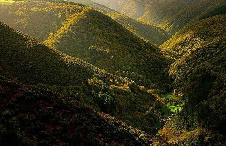 Panoramic view of the village of As Veigas in the middle of a forest landscape.