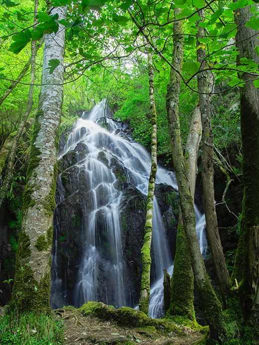 Image of the A Salgueira waterfall in Taramundi.