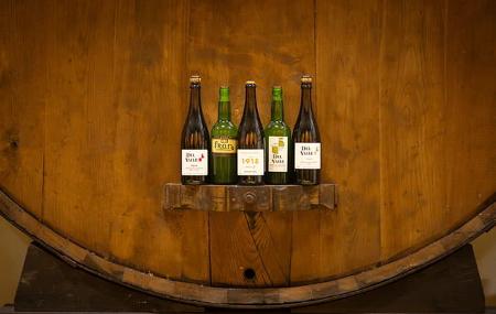 Fran Cider Cider Cider Mill