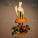 Image Artisan and Ecological Market. Gijón