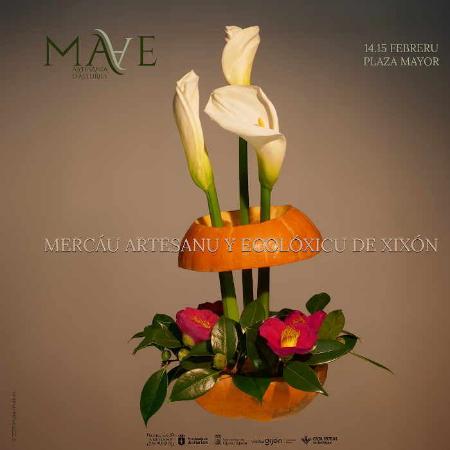 Artisan and Ecological Market. Gijón