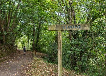 Green Path of Lloreo