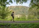 Hiker on a trail surrounded by vegetation
