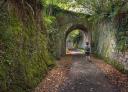 Tunnel surrounded by vegetation on the Senda Verde de Lloreo, with an open passage for hikers.