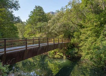 The Bear Path (Tuñón-Caranga)