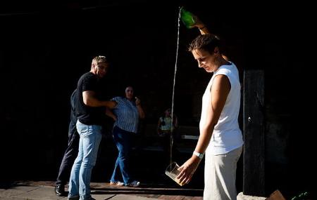 Pomarada y Llagar Palacio de Meres