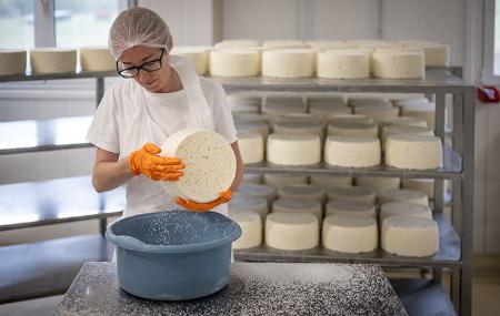 Vega de Tordín Cheese Factory