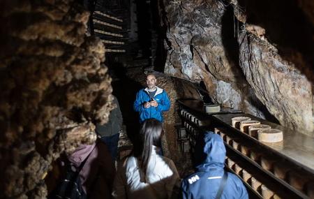 Imagen Maín Cheese Factory