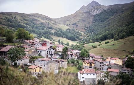 Maín Cheese Factory