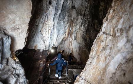 Maín Cheese Factory