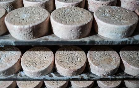 Maín Cheese Factory