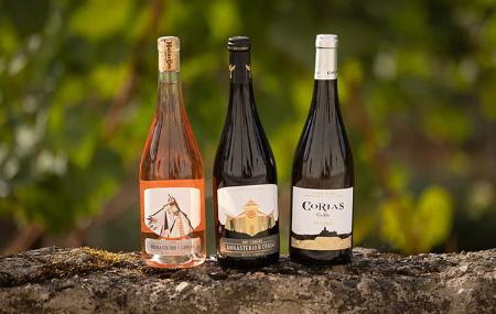 Monasterio de Corias Winery