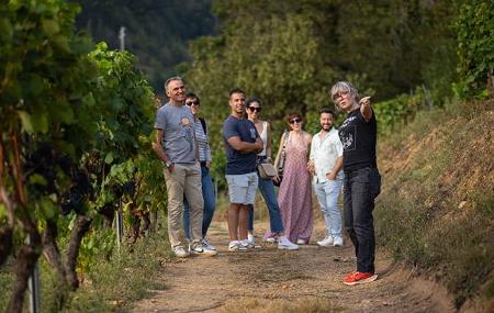 Monasterio de Corias Winery