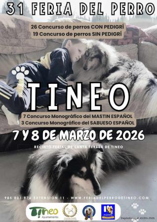 Feria del perro de Tineo
