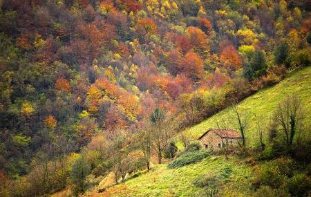 Llano de Peral in Lena