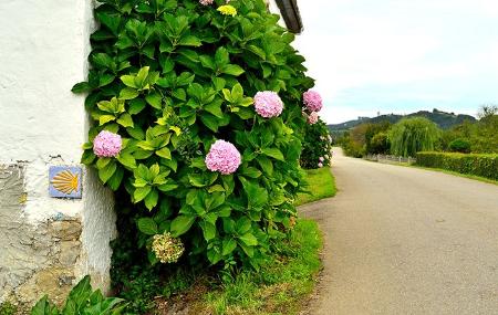The Pilgrims' Road to Santiago de Compostela as it passes through Sales in Colunga
