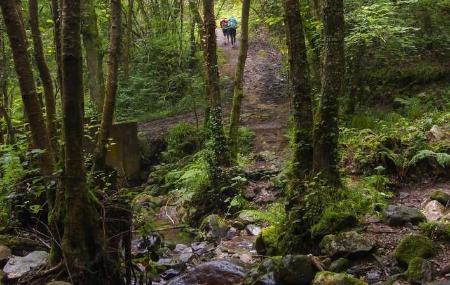 Nonaya River Path in Salas