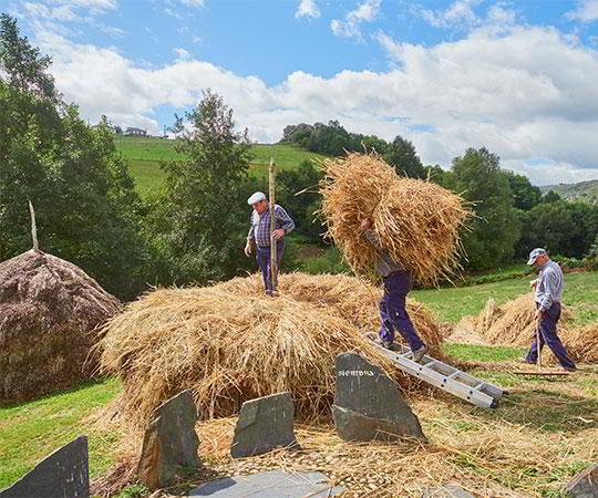 Bread kneading trough at the Bread Ecomuseum (Villanueva de Oscos)