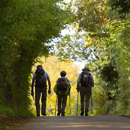 Image Camino Useful information