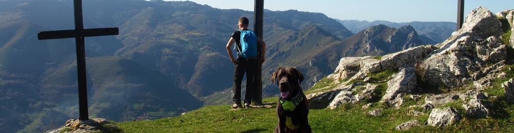 A dark brown dog with a bright green harness poses in the foreground with a man admiring the mountainous Asturian landscape and a wooden cross beside him.