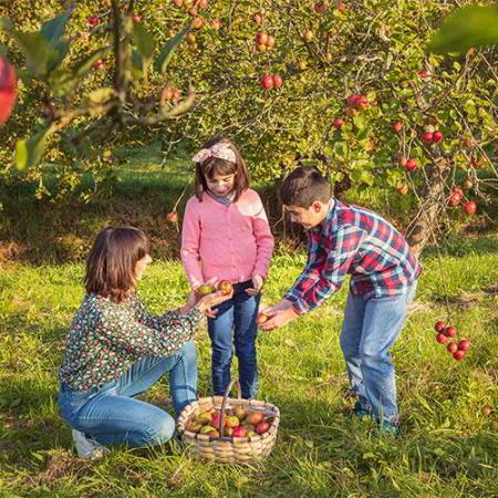 Image Ideas to enjoy with your family: plans for children in Asturias