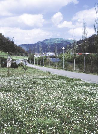 River Flow River Flow