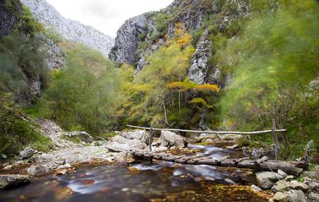 Río Nalón en el Parque Natural de Redes (Caso y Sobrescobio)