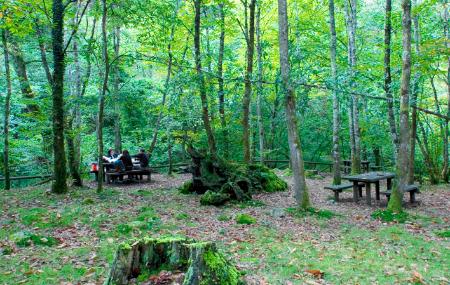 Área recreativa de La Pesanca