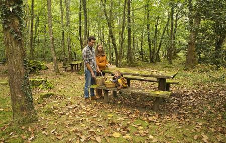 Área recreativa de La Pesanca