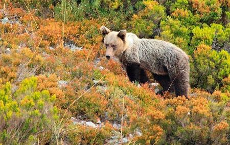 Jarascada Mountain and Nature Guides