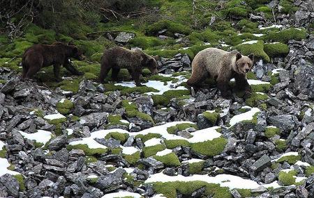 Jarascada Mountain and Nature Guides