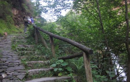 Parque Natural de Redes