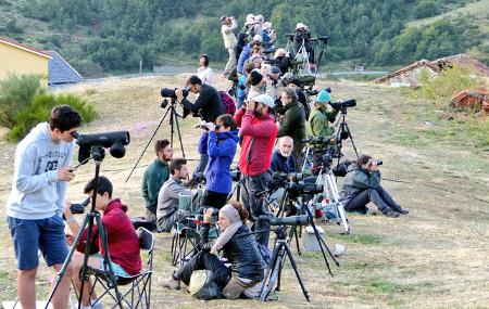 Imagen Avistamiento de fauna salvaje