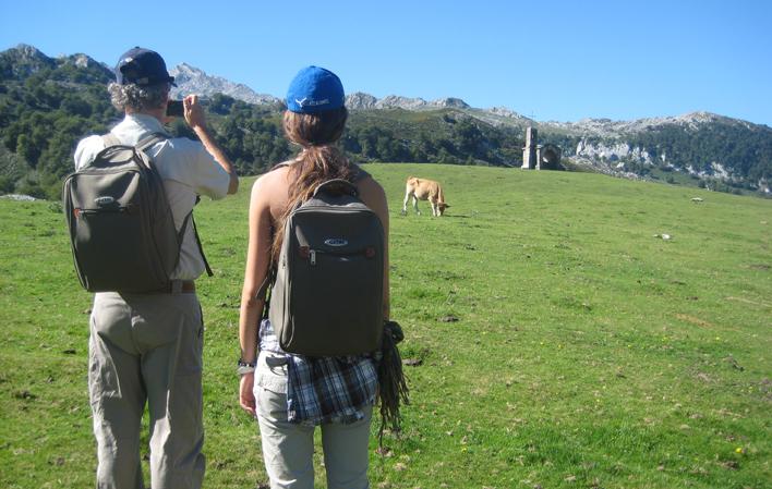 Go to Image Bearded vultures in Picos de Europa