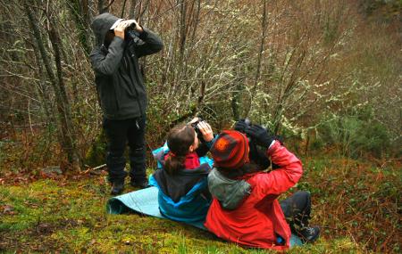 Imagen Bear and Wolf Routes