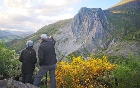 Imagen Brown Bear Watching
