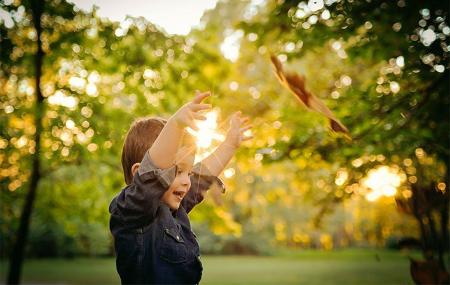 Parque de Lugones, very close to the motorhome area.