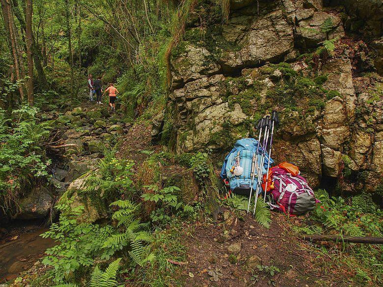 Das Bild des primitiven Weges (Salas)