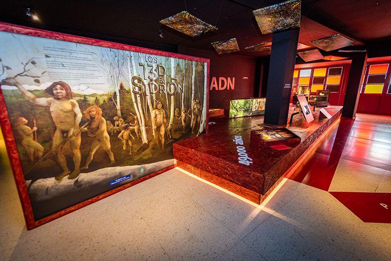 Image of the exhibition 