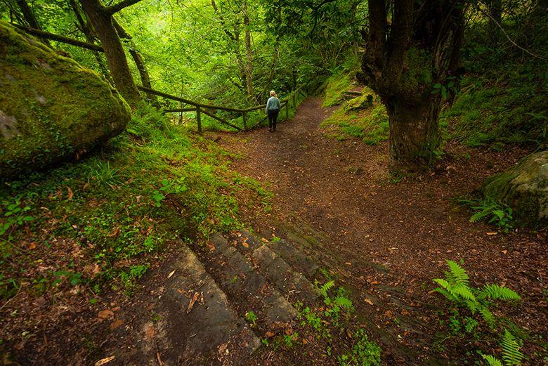 Image of La Pesanca (Piloña)