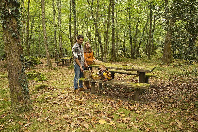 Image of the recreational area of La Pesanca in Piloña.