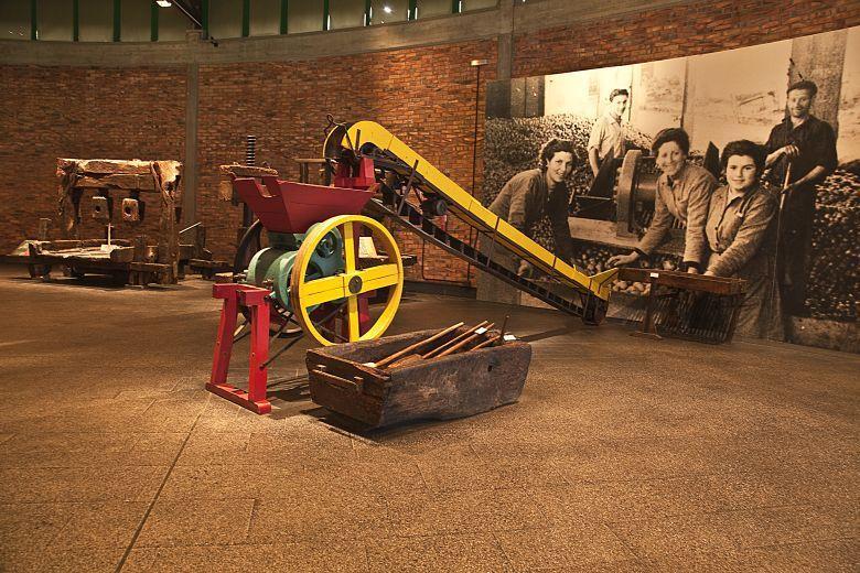 Image of the Cider Museum (Nava)